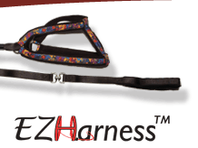 EzHarness